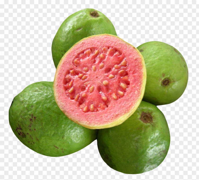 Guava Juice Jelly Tropical Fruit PNG