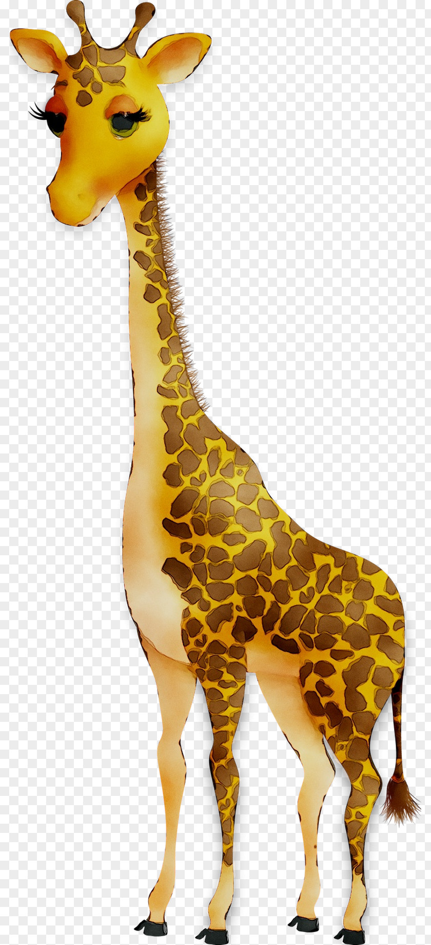 Northern Giraffe Dachshund Terrestrial Animal PNG