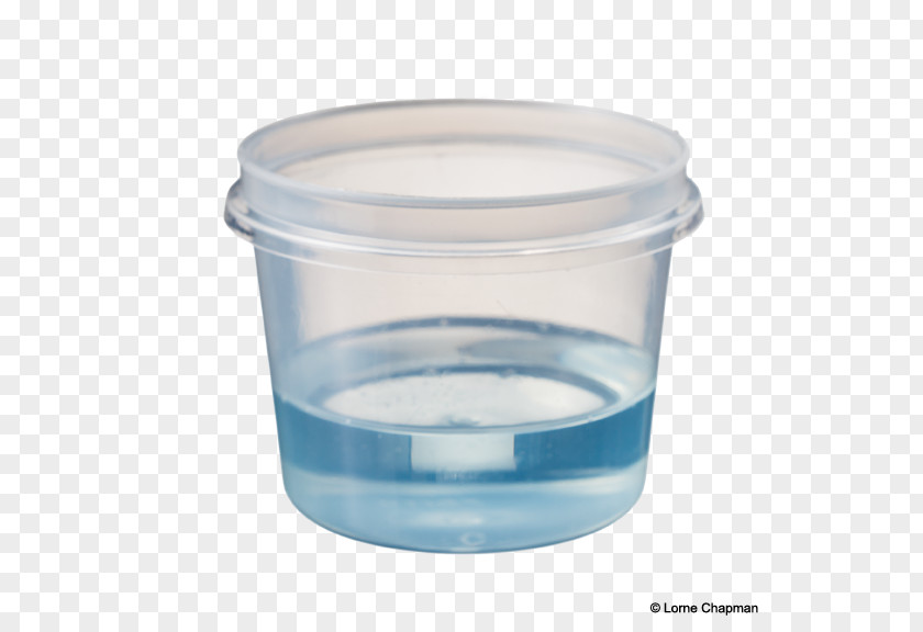 Container Food Storage Containers Lid Plastic Liquid PNG