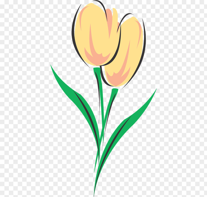 Fort Tulip Drawing Coloring Book Flower Clip Art PNG