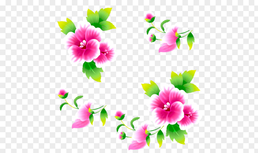 Islam Rosemallows YouTube Dailymotion Flower PNG