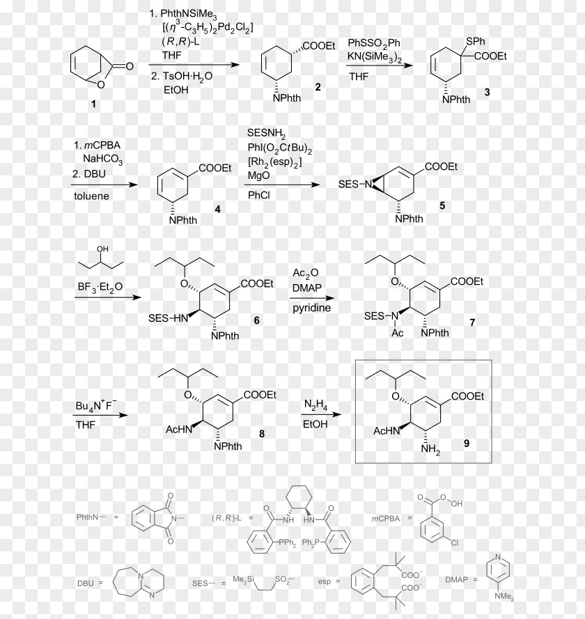 Nevada State Route 447 Oseltamivir Total Synthesis Chemical Chemistry PNG