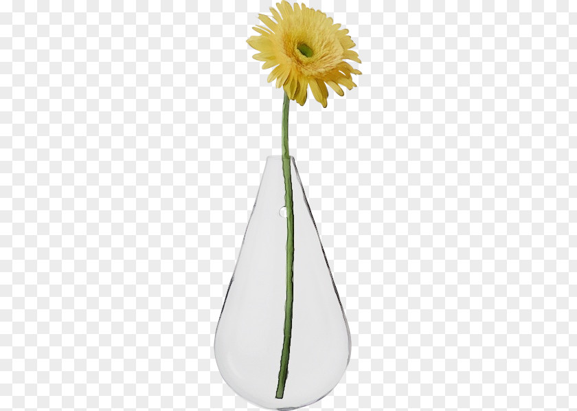 Plant Stem Vase Transvaal Daisy Cut Flowers Flower PNG