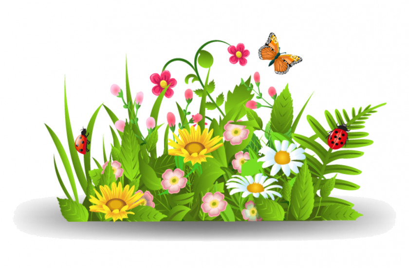 Sommerblumen Clip Art Vector Graphics Openclipart Image PNG