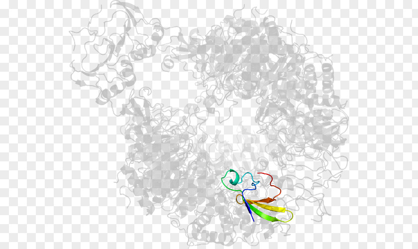 Acetolactate Synthase Drawing Line Art Graphic Design Clip PNG