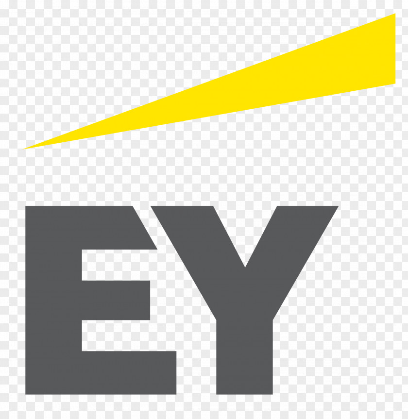 Americorps Icon Logo Ernst & Young, Papua New Guinea Management Consulting Adviesbureau PNG