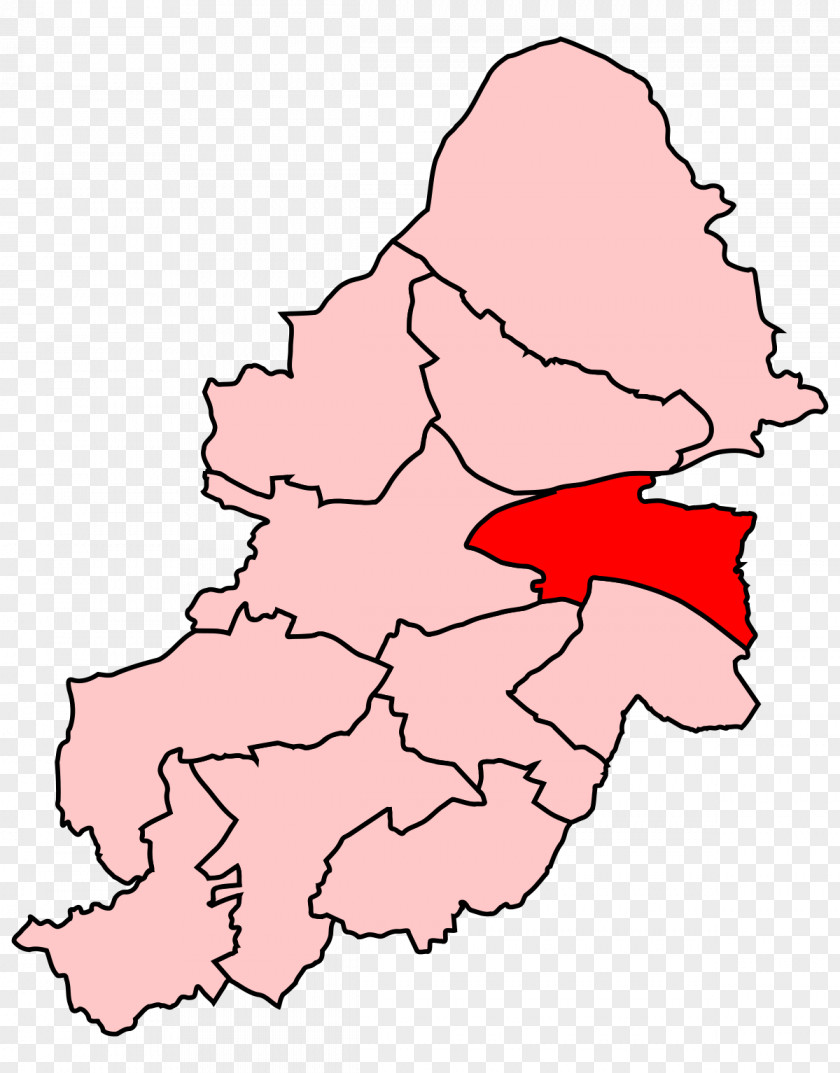 Birmingham Hodge Hill By-election, 2004 Stechford East PNG
