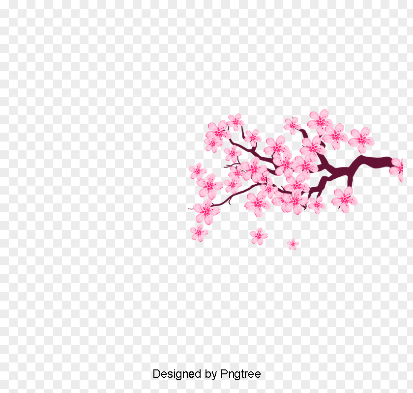 Cherry Blossom Vector Graphics Clip Art PNG