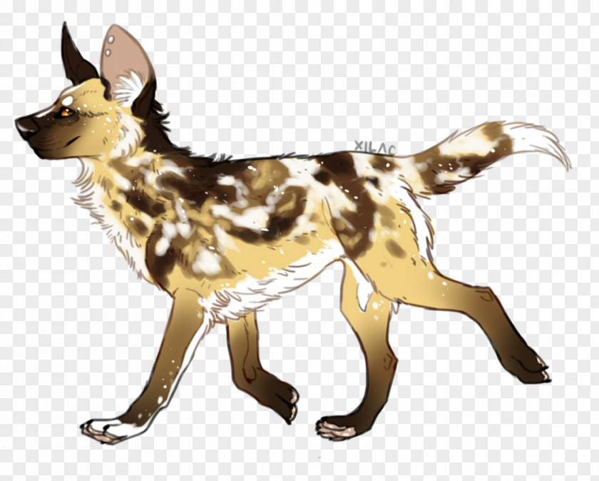 Dog Breed German Shepherd African Wild Brittany Drawing PNG