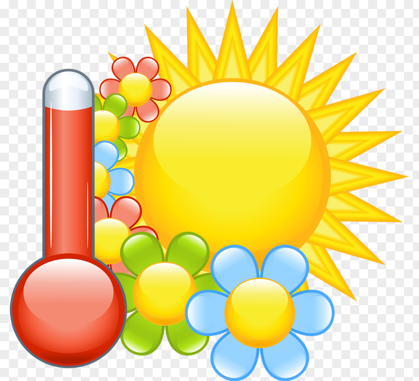 Thermometer And Sun Flowers PNG