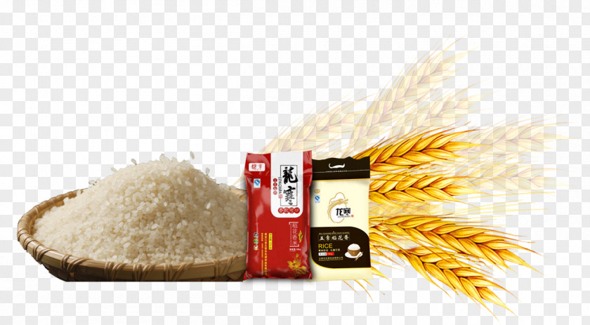 Wheat Barley Rice Paddy Common Gadu PNG