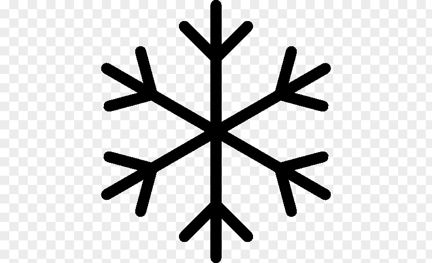 Winters Snowflake PNG