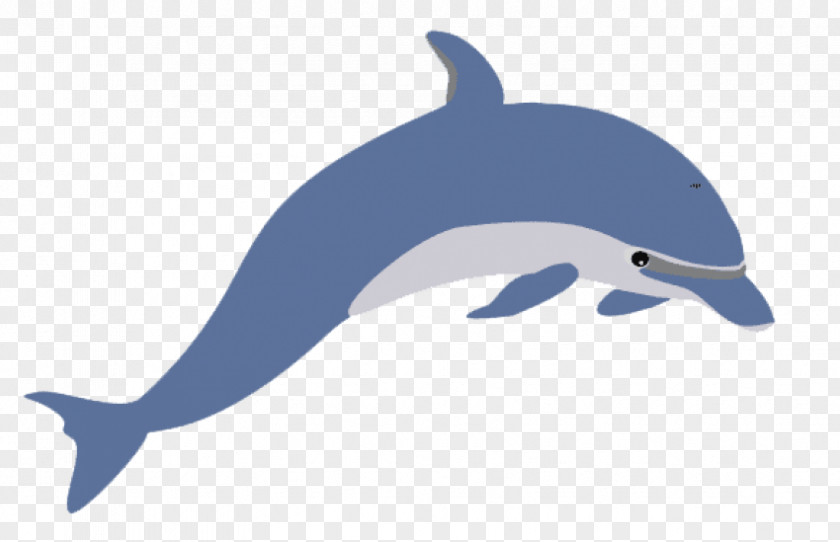 Dolphin Clip Art Openclipart Common Bottlenose Desktop Wallpaper PNG