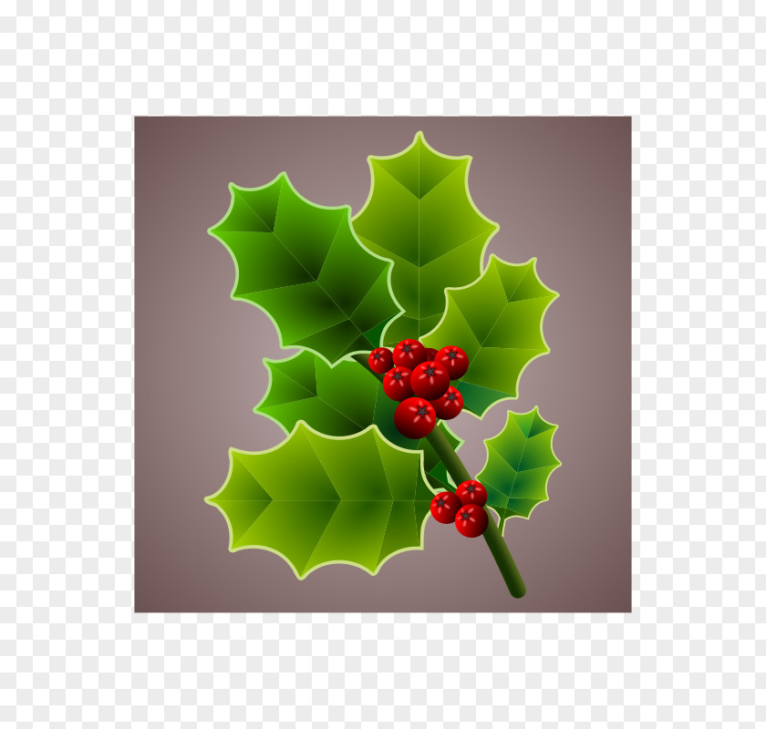 Floral Christmas Common Holly PNG