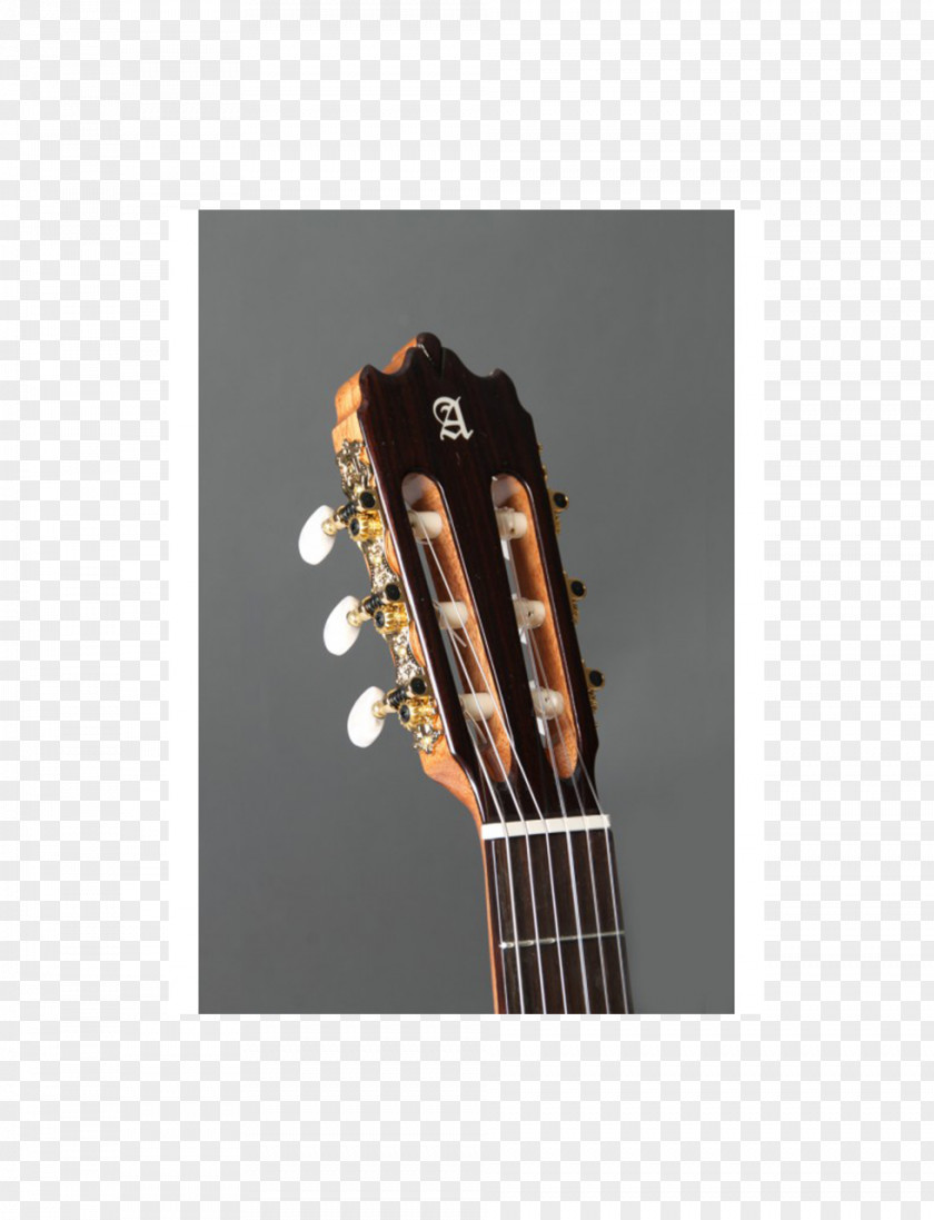 Acoustic Guitar Alhambra Classical Iberia PNG