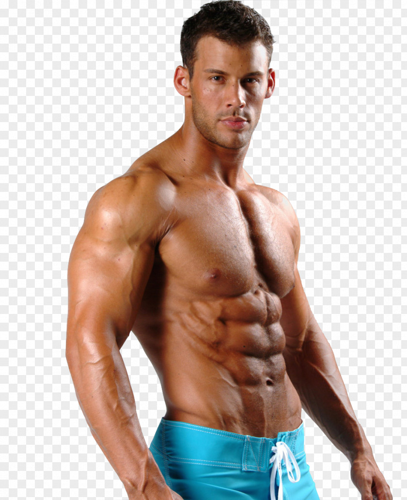 Bodybuilding Supplement Muscle Human Body Fitness Centre PNG