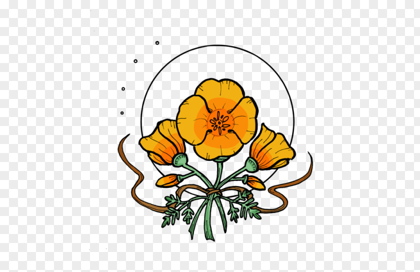 California Poppy Cut Flowers Floral Design Art PNG