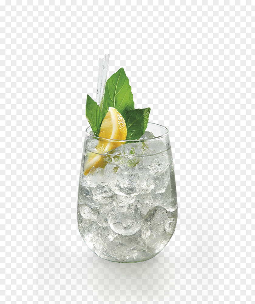 Cocktail Gin And Tonic Rebujito Garnish Vodka Water PNG