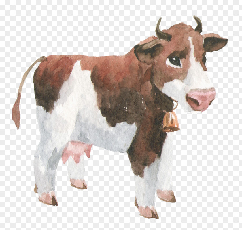 Design Dairy Cattle Calf Graphic PNG