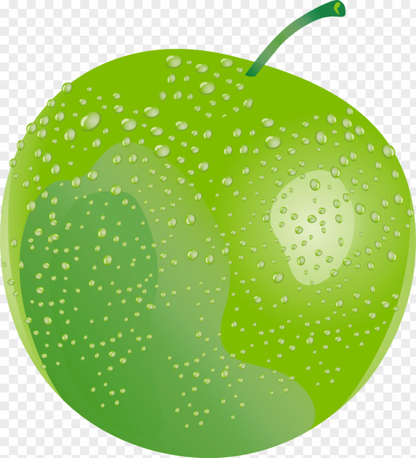 Green Apple Overhead Download PNG