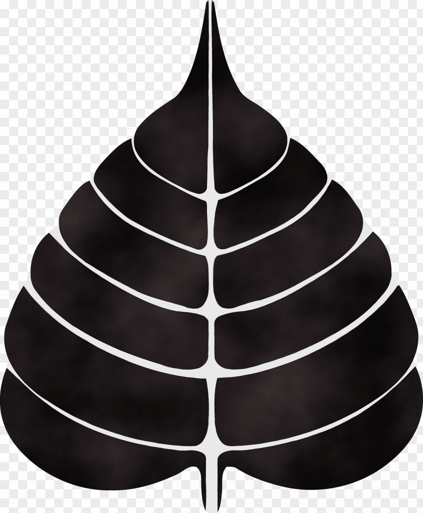 Leaf Tree Black-and-white Plant Cone PNG