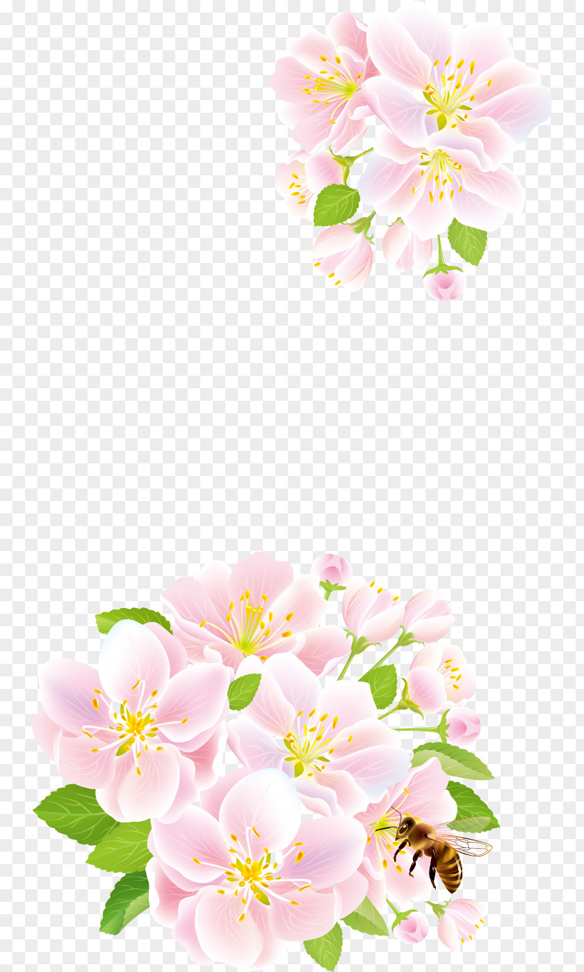 Pink Plum Snow Creative Flower Rose Clip Art PNG