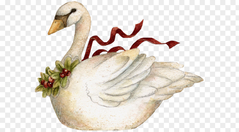 Winter Swan Cliparts Goose Bird Black Christmas Clip Art PNG