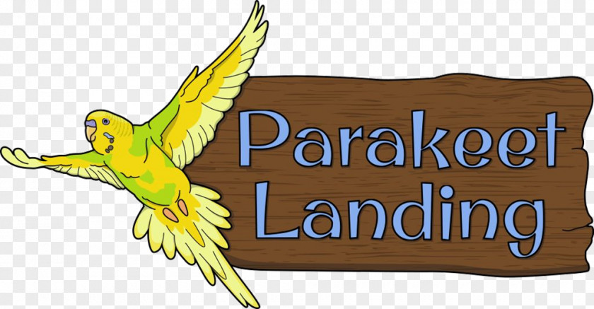 Bird Budgerigar Parakeet Clip Art Macaw PNG