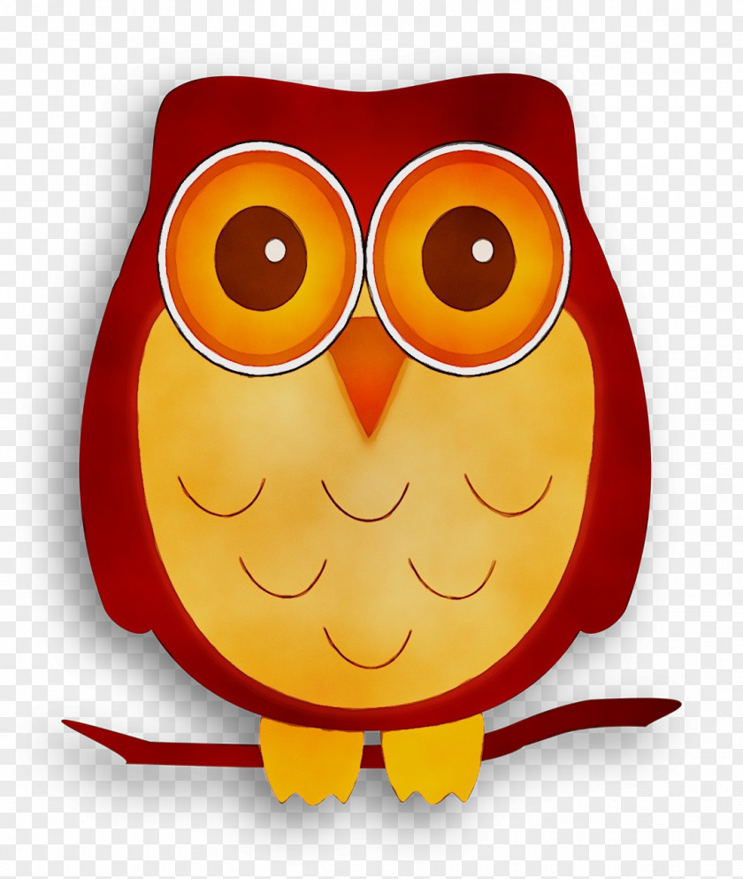 Birds Beak Cartoon Bird Of Prey Owl M PNG