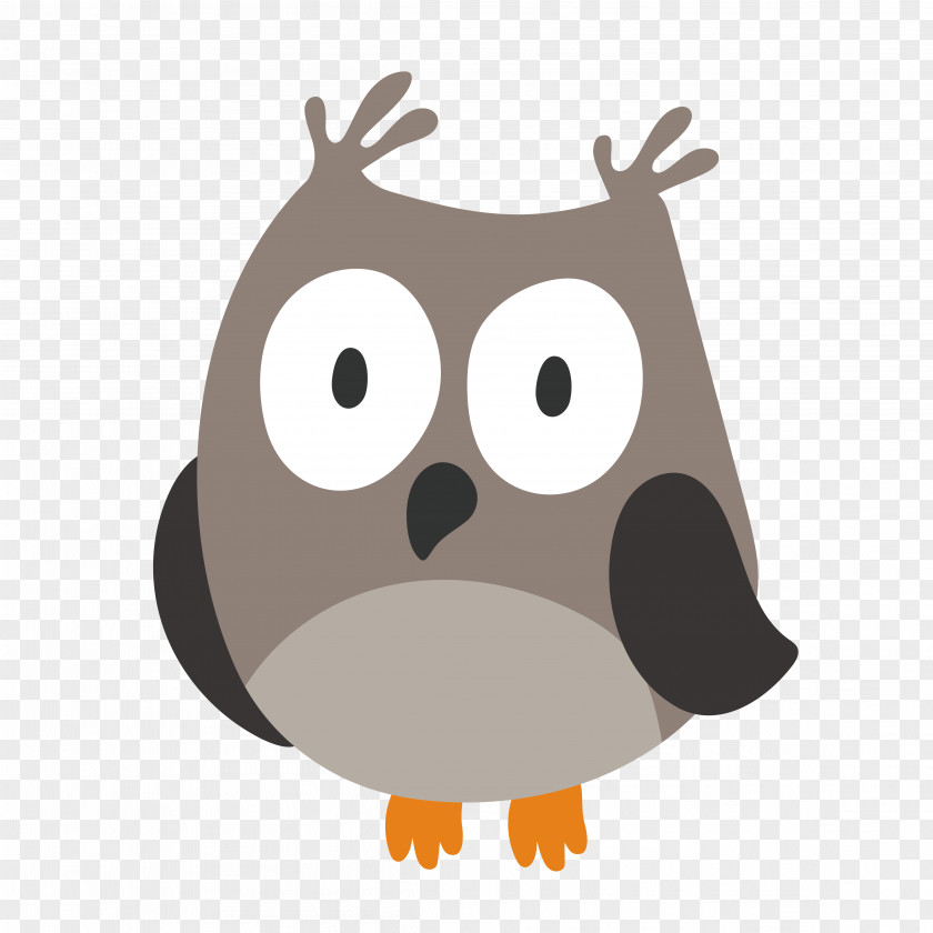 Cartoon Owl Bird PNG