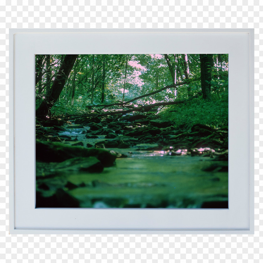 Painting Art Picture Frames Pond Landscape PNG