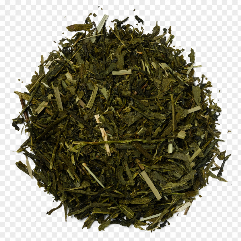 Tea White Green Herbal Blending And Additives PNG