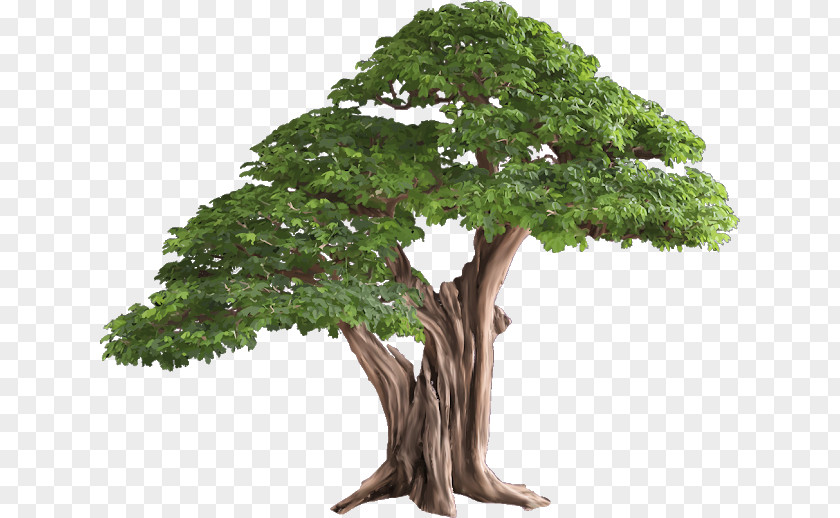 Tree Clip Art Image Vector Graphics PNG