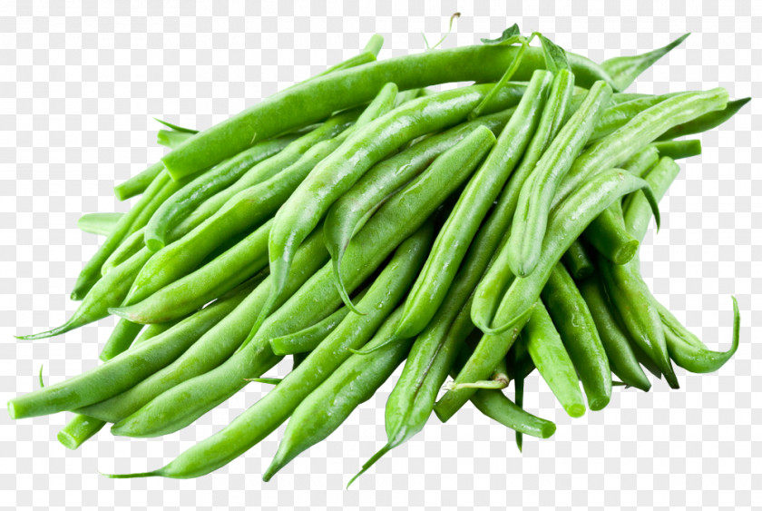 Vegetable Common Bean Terrine Green Food PNG