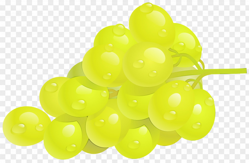 Zante Currant Grape Seedless Fruit Grapevine Family Vitis PNG