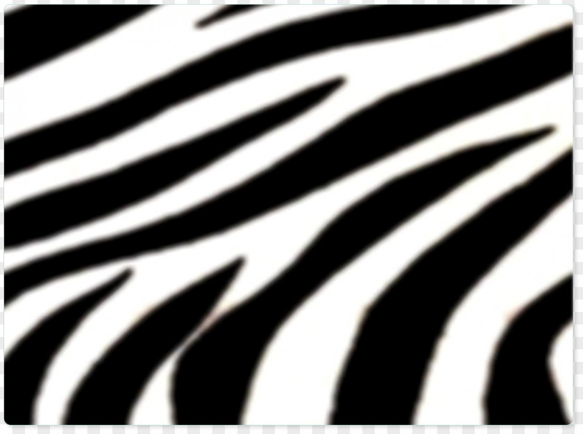 Zebra Black And White Pink Blue PNG