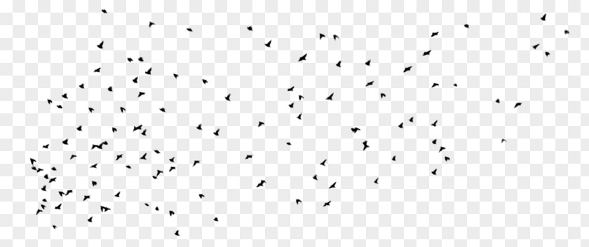 Constellations Line Point Animal Migration White Font PNG