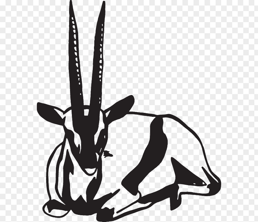 Dog Hare Macropods Mammal Clip Art Canidae PNG