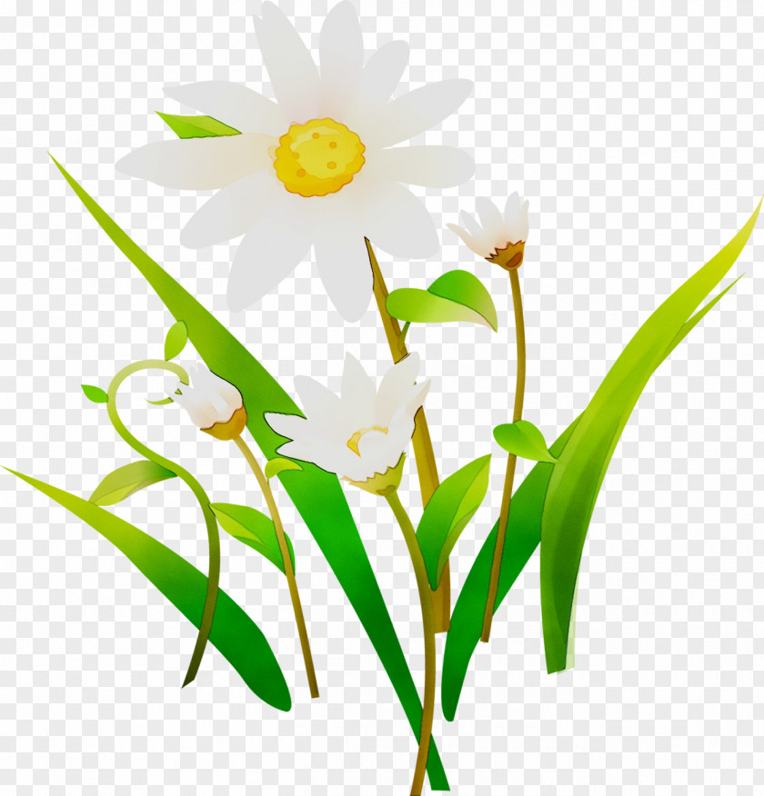 Floral Design Parent Child Safety Cut Flowers PNG