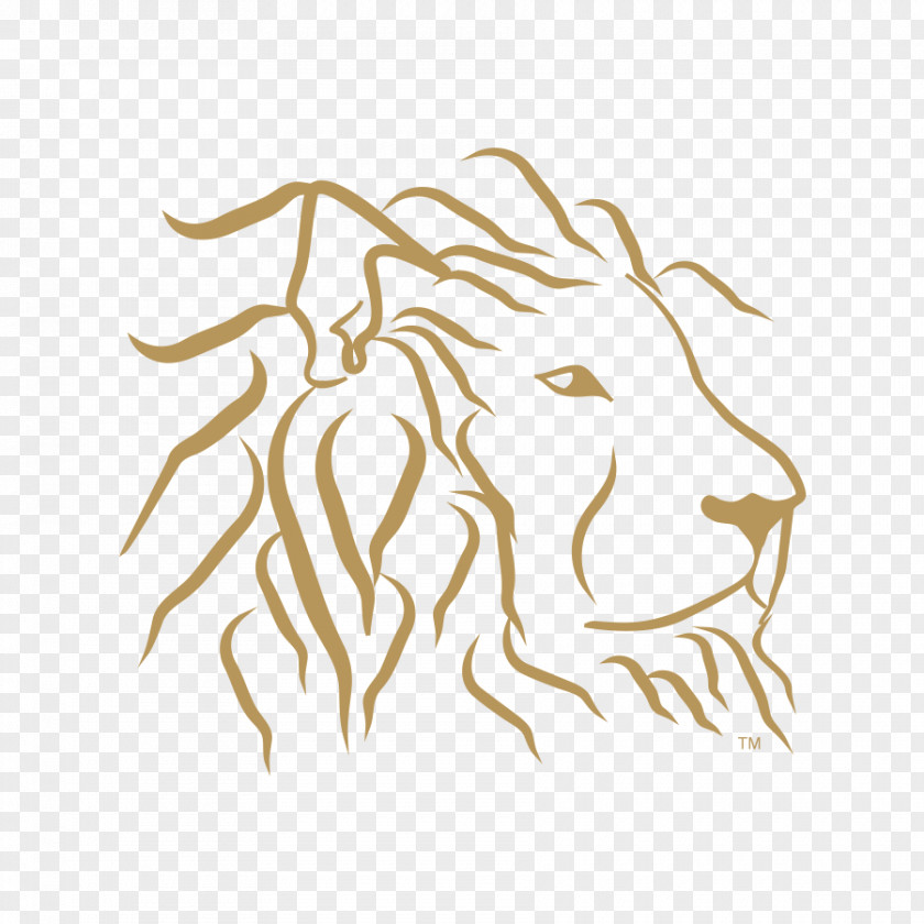 Lion Head Cat Drawing Mammal PNG