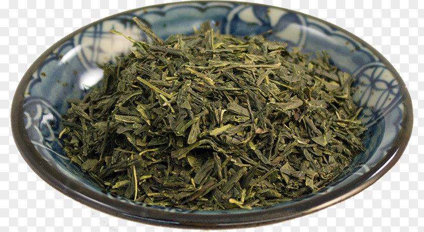 Tea Hōjicha Nilgiri Oolong Plant PNG