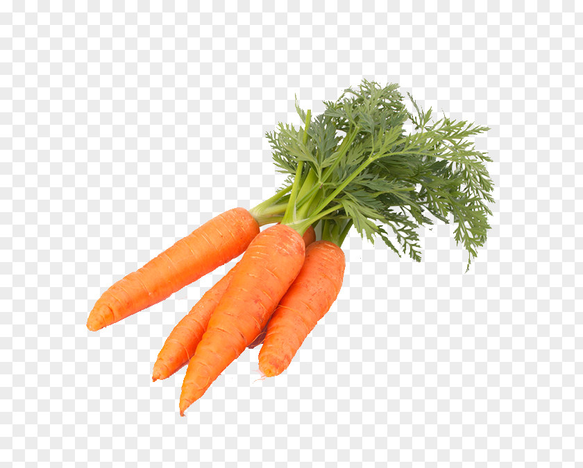 Carrot Vegetable Food PNG