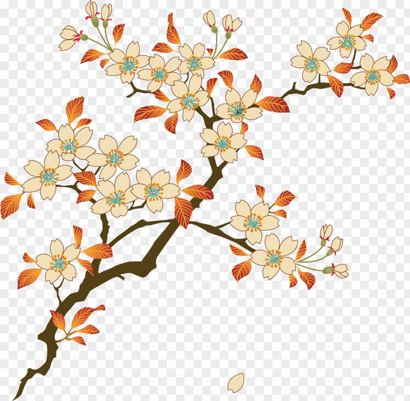 Floral Flower Display Resolution PNG