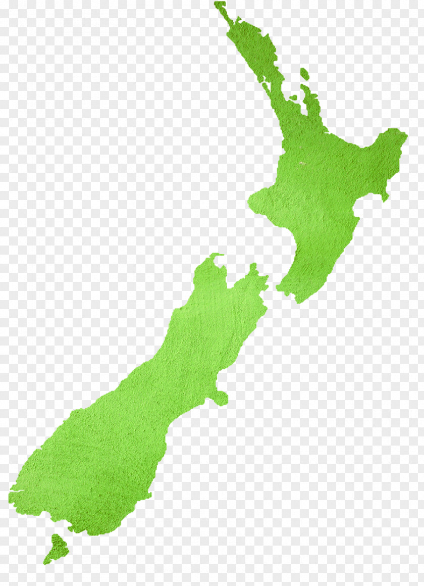 Green New Zealand Map Hastings Ogle North Island PNG