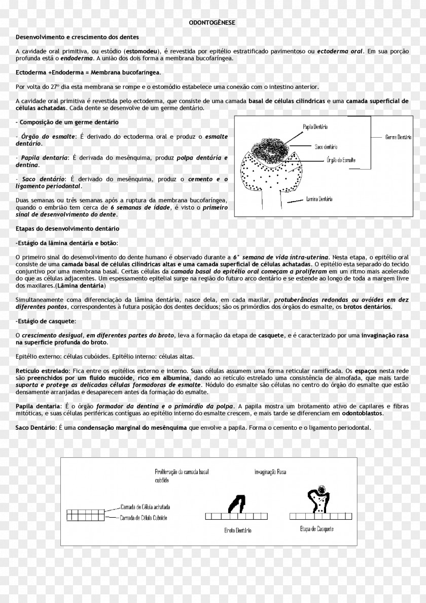 Line Document Angle PNG