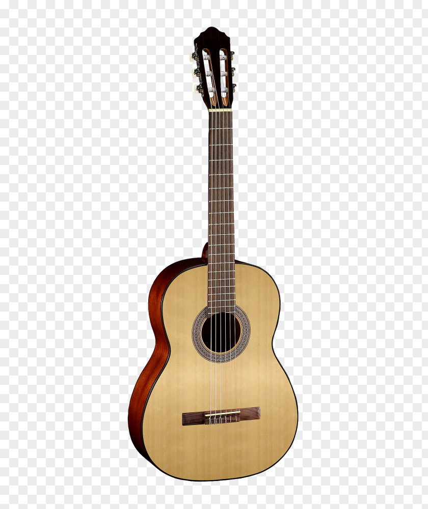 Acoustic Guitar Cort Guitars Classical Acoustic-electric PNG