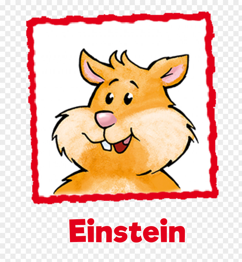 Einstein Whiskers Heimtierbedarf Vitakraft-Werke Wührmann & Sohn GmbH Co. KG Clip Art PNG