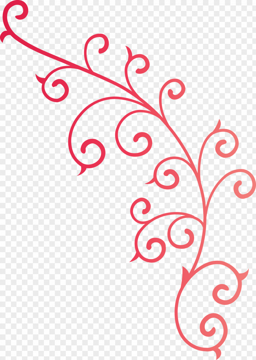 Flower Frame Floral PNG