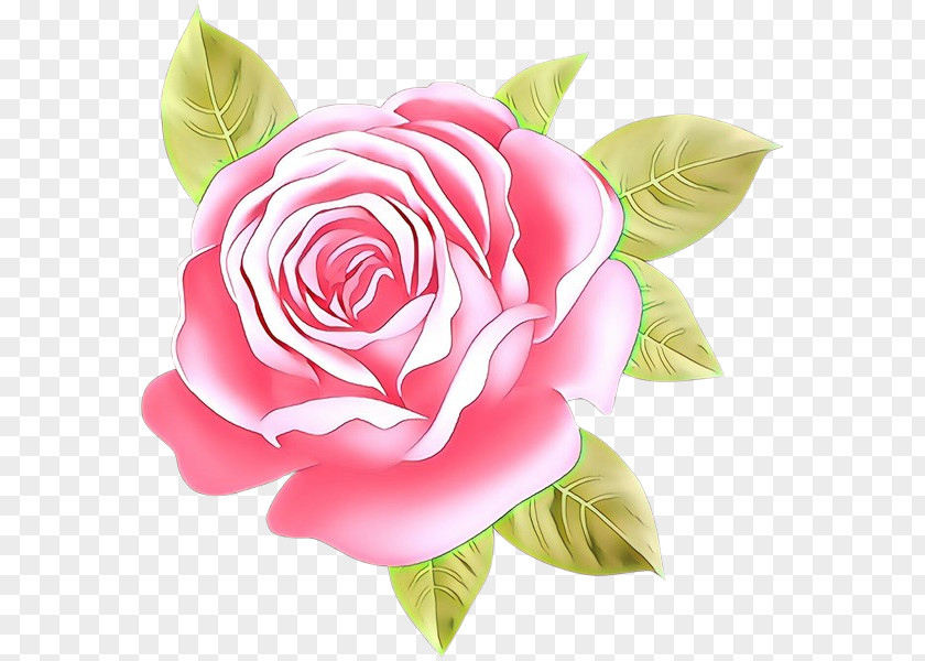 Garden Roses PNG