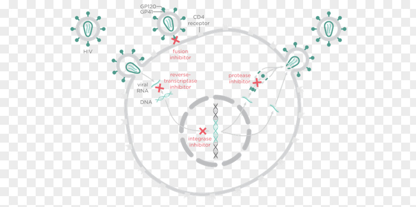 Hiv Virus Particle Abacavir / Dolutegravir Lamivudine Management Of HIV/AIDS PNG